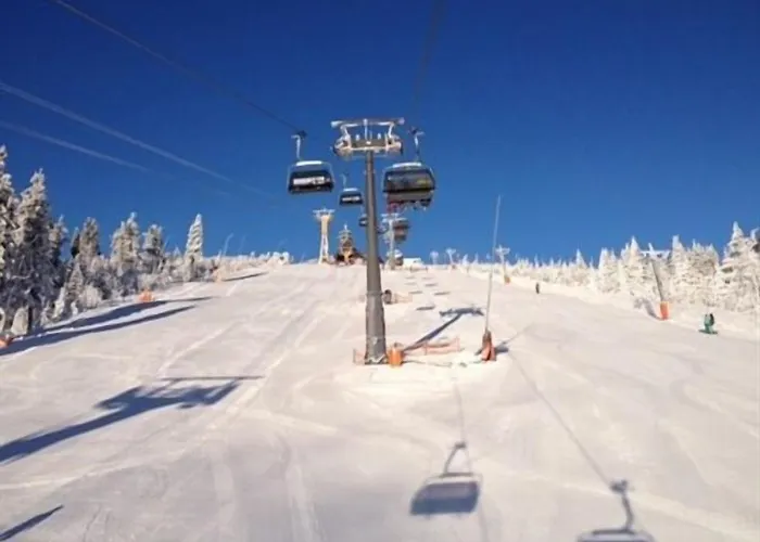 Guest house Fichtelberghuette Oberwiesenthal